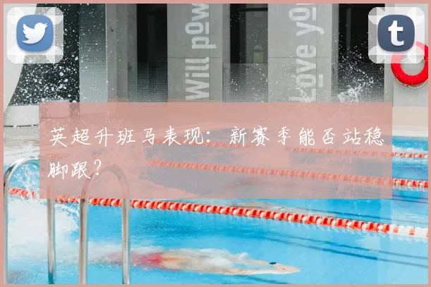 英超升班马表现:新赛季能否站稳脚跟?
